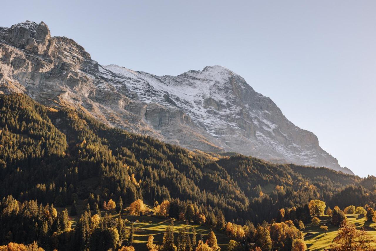 Hotel Fiescherblick Grindelwald Exterior foto